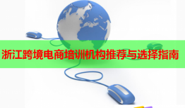 浙江跨境電商培訓(xùn)機(jī)構(gòu)推薦與選擇指南